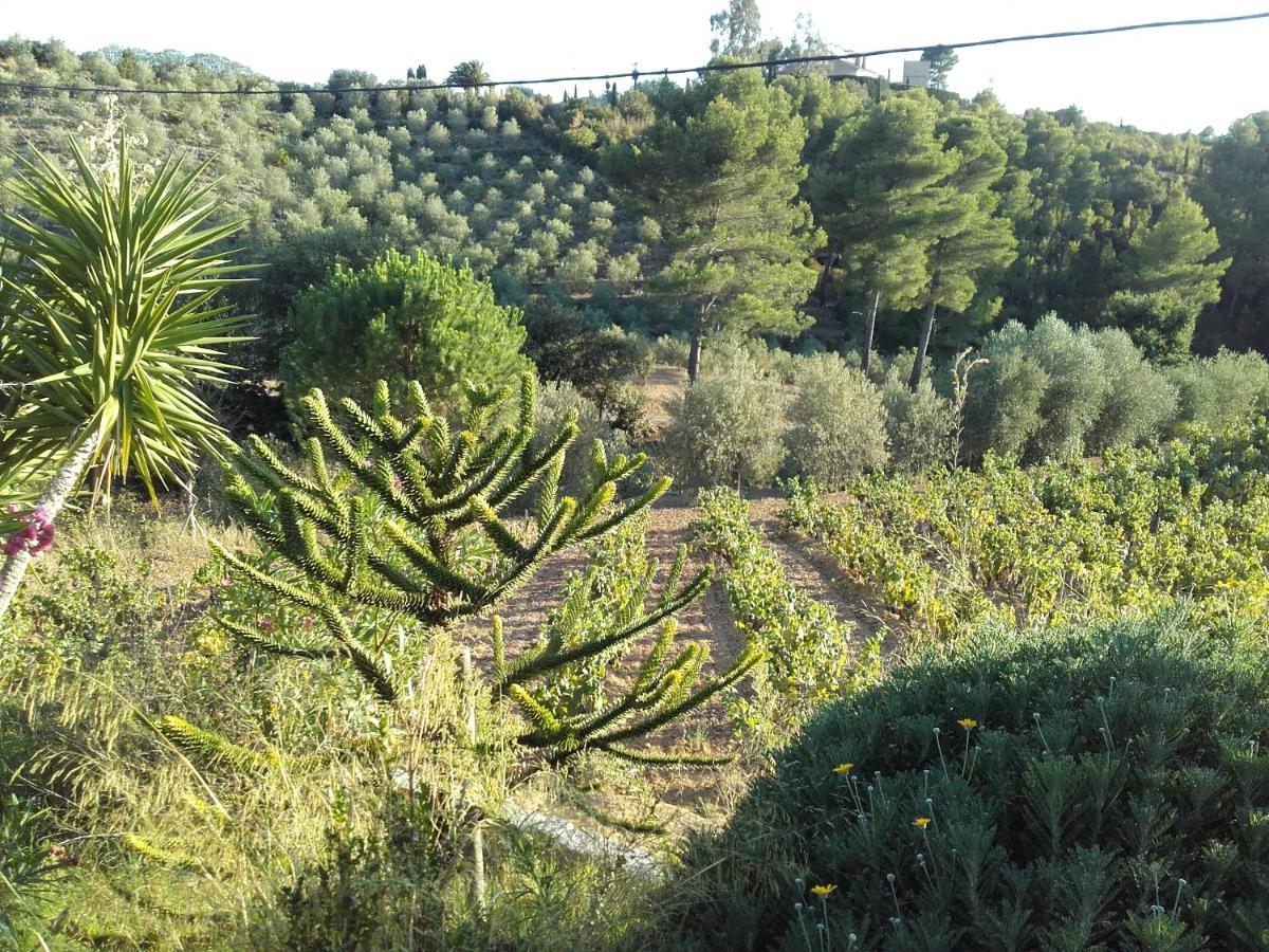 La Bastide De L'Oliveraie 勒卡斯特雷特 外观 照片